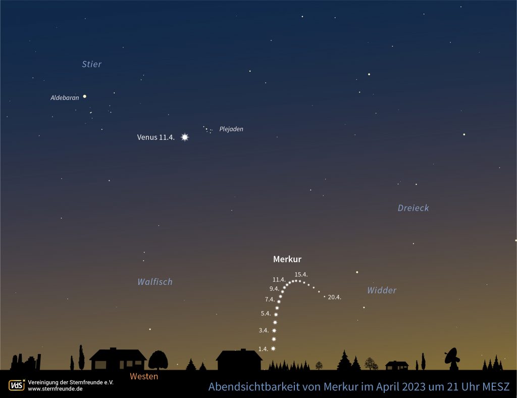 Der westliche Abendhimmel Anfang bis Mitte April 2023. Über dem Horizont taucht Merkur auf. Deutlich höher und heller glänzt der Abendstern Venus.